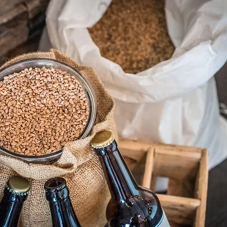 Hotel Lilland Brewery Tau