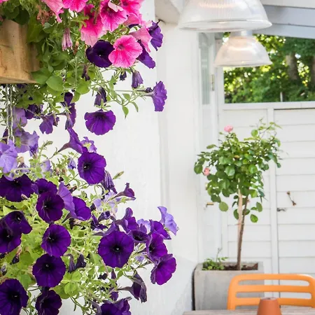 Otel Lilland Brewery