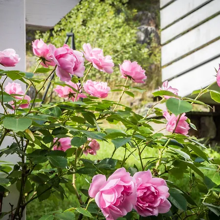 Hotel Lilland Brewery 3*