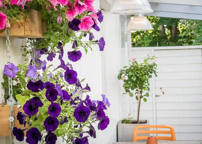 Hotel Lilland Brewery