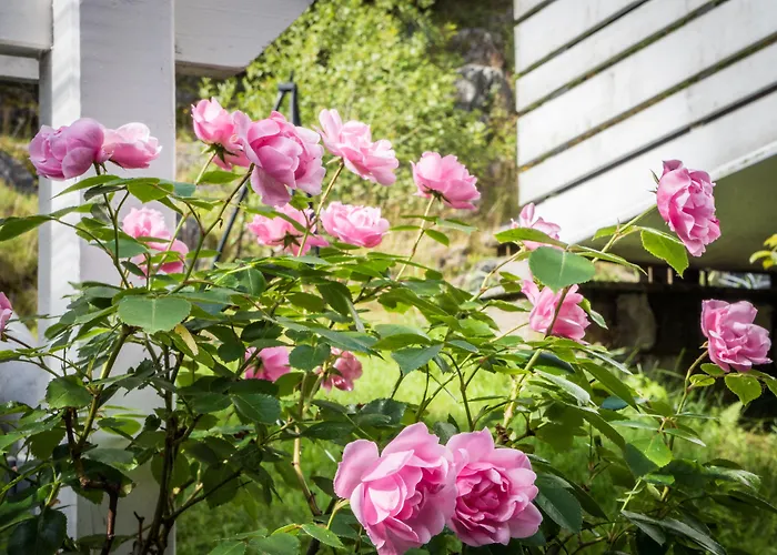 Hotel Lilland Brewery 3*